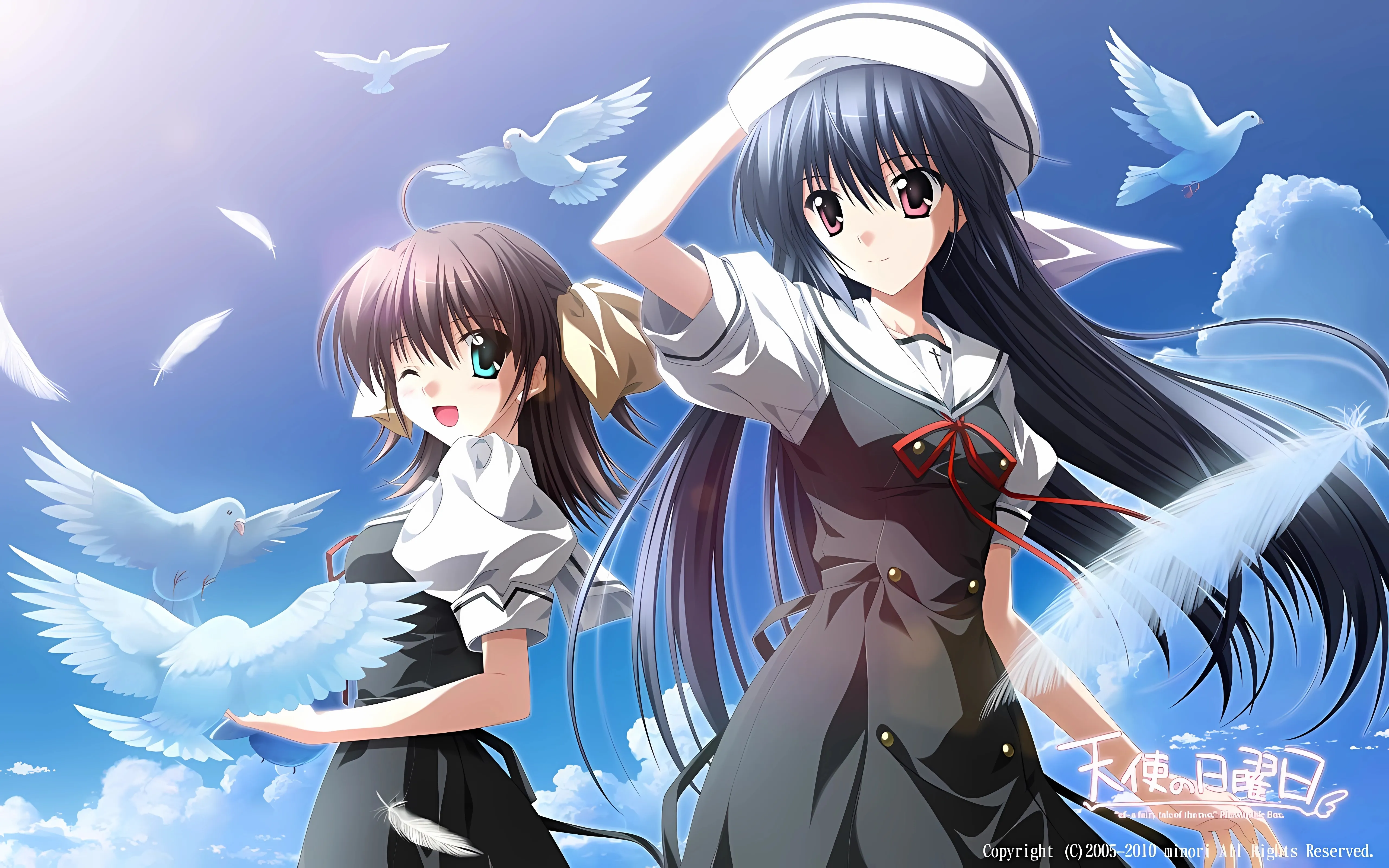 Banner image of the blog