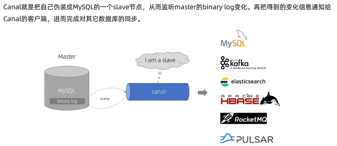 image-20241222203422202