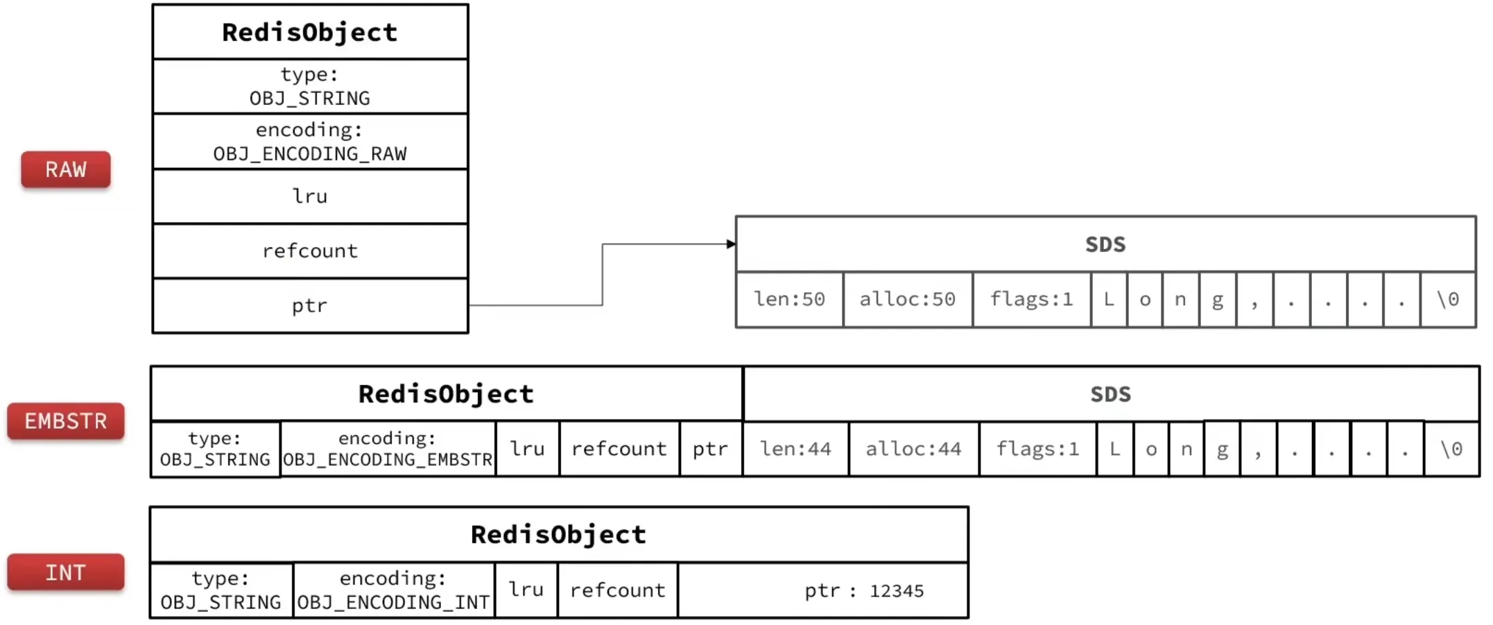 image-20241226125832586