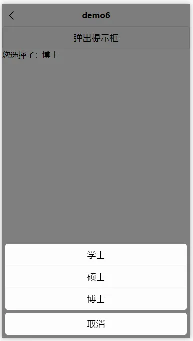 image-20250101164727515